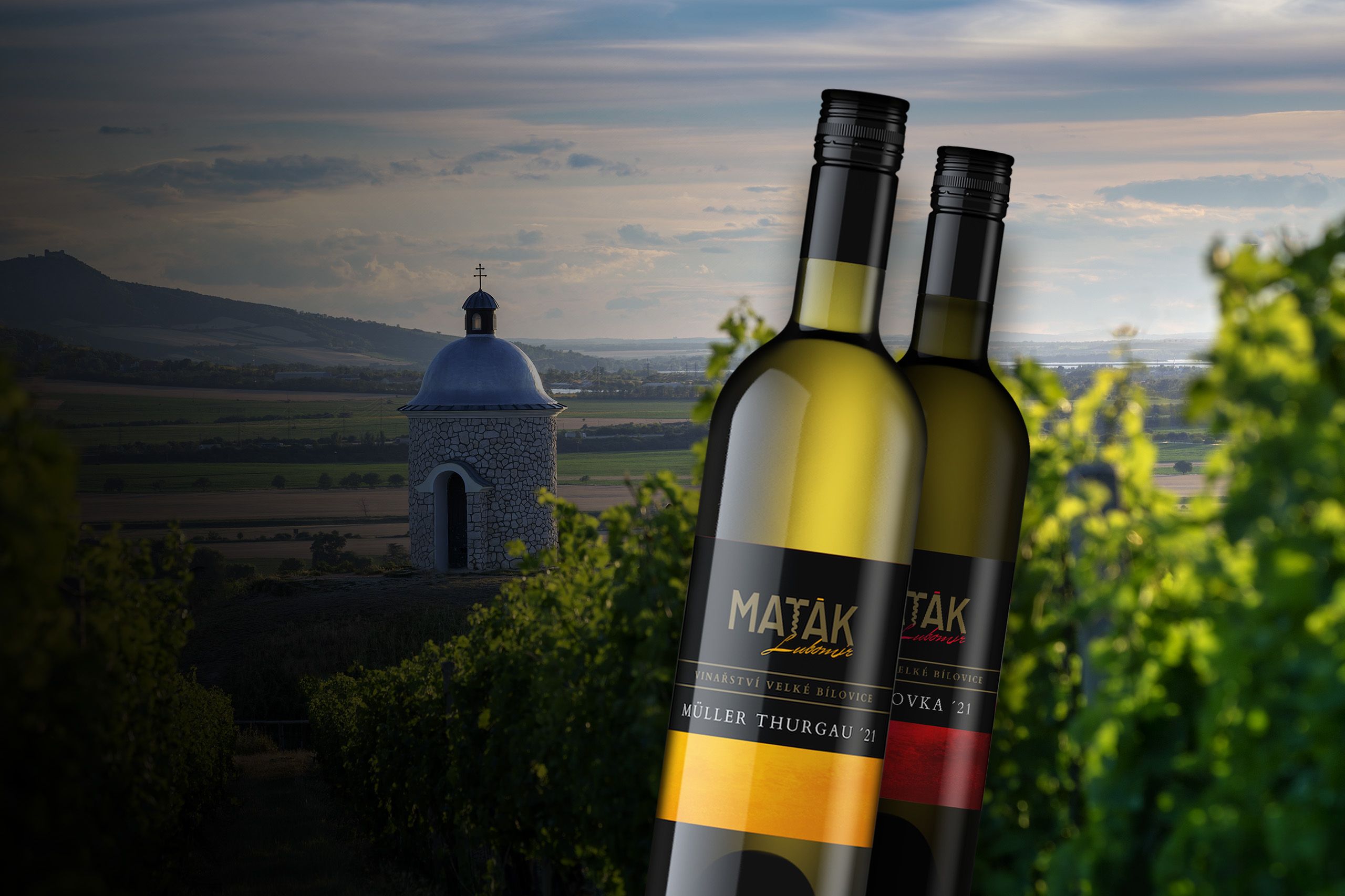 RODINNÉ VINAŘSTVÍ MAŤÁK