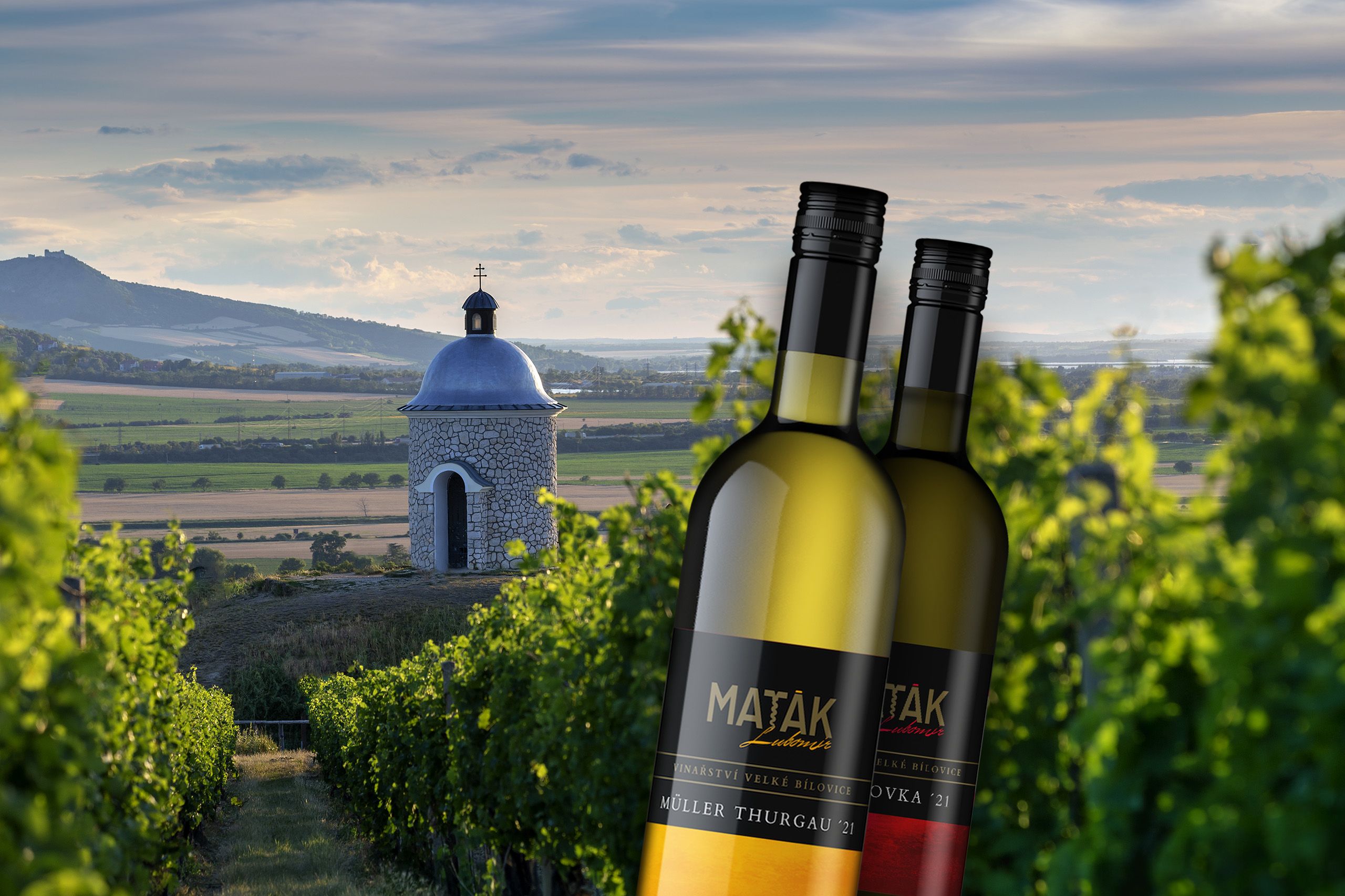 RODINNÉ VINAŘSTVÍ MAŤÁK